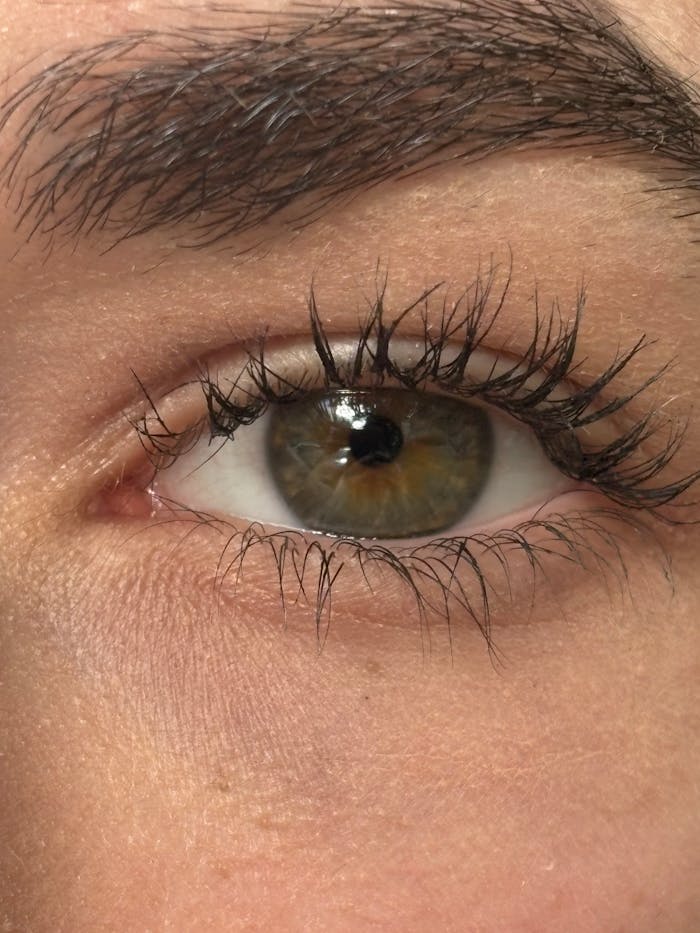 Detailed close-up image of an eye showcasing eyelashes and eyebrow.